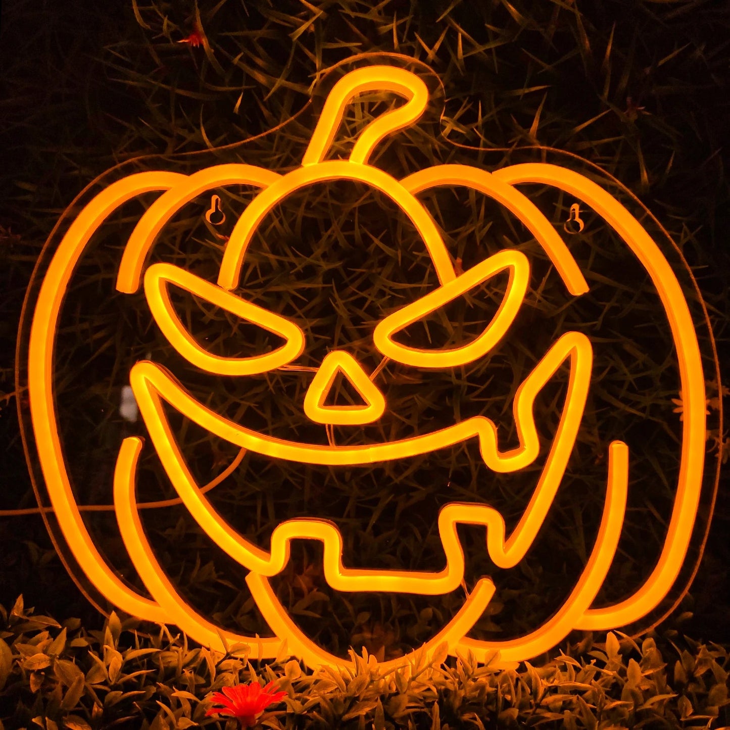 Jack-o'-Glow™ Halloween Neon Sign